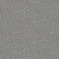 ttBOO-CD4953 SHADOW